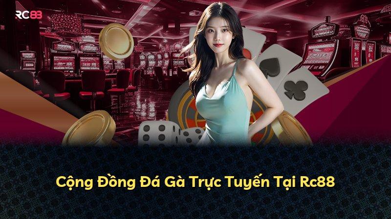 Cộng Đồng Đá Gà Trực Tuyến Tại Rc88