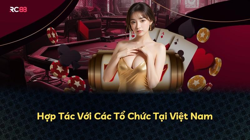 Hợp Tác Với Các Tổ Chức Tại Việt Nam