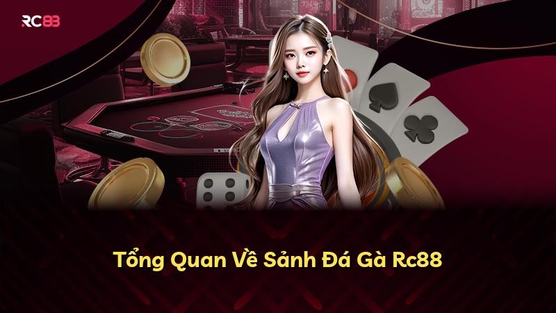 Tổng Quan Về Sảnh Đá Gà Rc88
